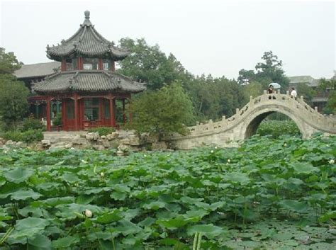 ¡Sumérgete en la historia y la belleza natural del Templo Jingxiu!